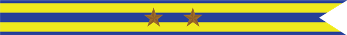 United States Navy Expeditionary Campaign Streamer with 2 Bronze Stars